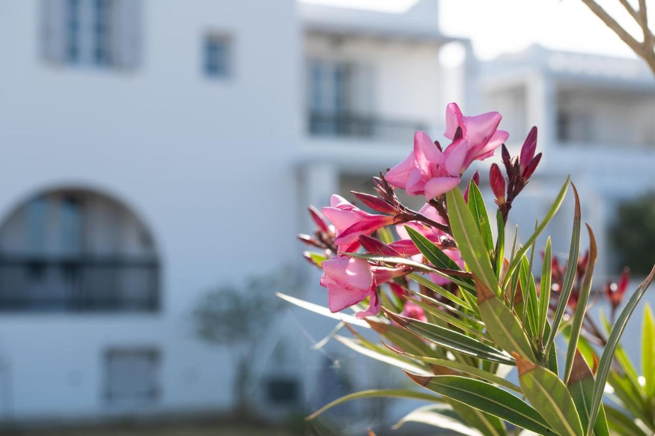Sea Lilies Suites Plaka  Bagian luar foto